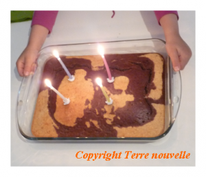 gâteau d'anniversaire marbré chocolat et noix de coco