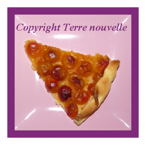 Tarte aux mirabelles