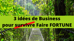 3 idées de Business pour faire FORTUNE