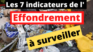 les 7 indicateurs de l'Effondrement à surveiller !