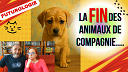 FUTUROLOGIE | la FIN des animaux de compagnie....