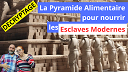 DECRYPTAGE | la Pyramide alimentaire pour nourrir les Esclaves Modernes...