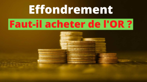 Effondrement, Faut-il acheter de l'OR ?...