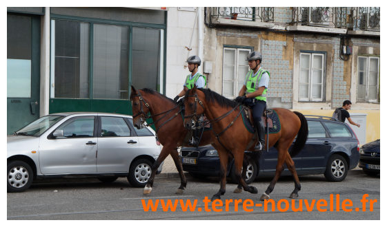 A Lisbonne, capital du Portugal, on peut croiser des policiers à cheval. Une présence qui se veut rassurante.