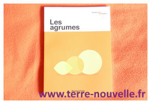 Les agrumes : quelles utilisations pour les agrumes ?