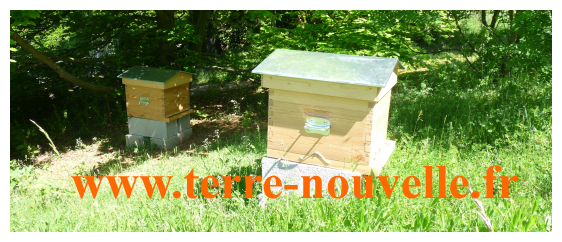 Nos abeilles sont arrivées : livraison de nos 2 essaims, premiers soins aux ruches, travaux et investissement à prévoir pour le rucher