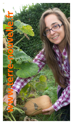 Courge butternut : comment je la cultive, en article et vidéo