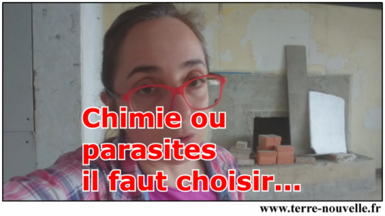 Traitement chimique, ou parasites, insectes... il faut choisir