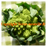 Choux romanesco recettes