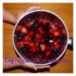 Confiture cerises fraises