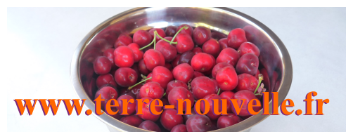 Confiture maison : recette Terre nouvelle de confiture cerise fraise