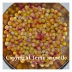 Confiture de Mirabelles