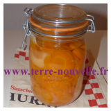 Conserve de carottes en rondelles