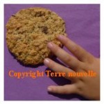 Cookies sans beurre sans oeufs