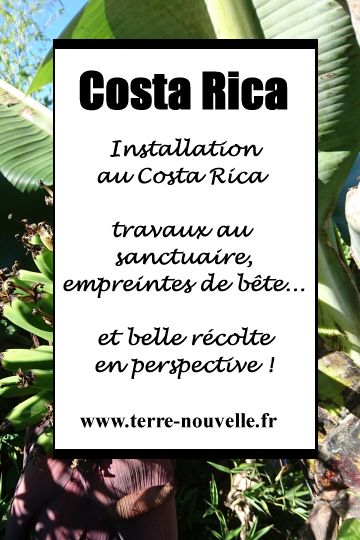 Installation au Costa Rica : les travaux au Sanctuaire avancent, et quelques surprises !...