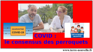 Covid-19 : le consensus des perroquets