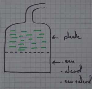 schema distillation huiles essentielles