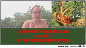 Comment trouver des graines et semences (presque) gratuites, même s'il n'y a plus rien en jardinerie