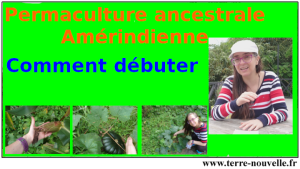 Permaculture ancestrale Amérindienne, comment débuter en permaculture avec les 3 Soeurs ou Milpa