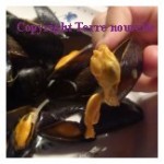 Moules oignon citron persillade