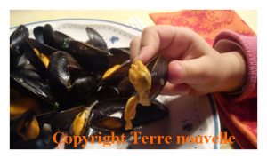 Moules oignon, citron et persillade