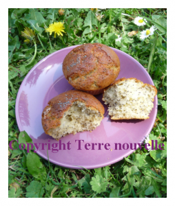 Muffins amande et graines de pavot