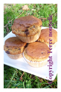 Muffins au beurre de cacahuète et pépites de chocolat