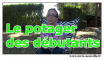 potager des debutants