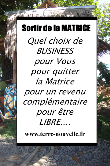 Quel choix de business adapté à Vous, pour quitter la Matrice par le haut, pour un revenu complémentaire, pour être LIBRE....