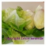 Salade verte améliorée