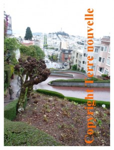 Lombard Street, pittoresque, à San Francisco