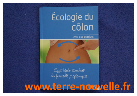 Santé, ferments propioniques et Gingko Biloba : découvrez quel est le lien !