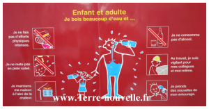 Survivalisme familial : que faire en cas de canicule, pour les enfants et les adultes