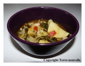 potage-espagnol potage espagnol