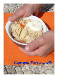 salade-de-riz salade de riz