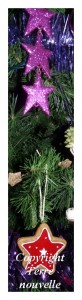sapin-de-noel être en forme pour les fêtes