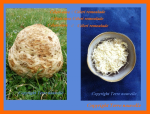 celeri-remoulade Céleri rémoulade