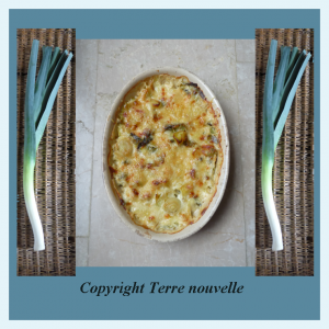 gratin_de_poireaux gratin de poireaux