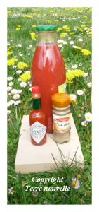 jus-tomate-tabasco-sel-celeri jus de tomate, Tabasco et sel au céleri
