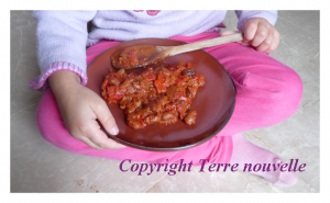 chili-con-carne-sans-viande chili con carne sans viande
