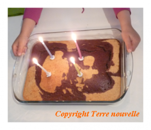 gateau-anniversaire-chocolat-noix-de-coco gâteau d'anniversaire marbré chocolat et noix de coco