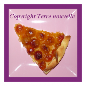 tarte-aux-mirabelles Tarte aux mirabelles