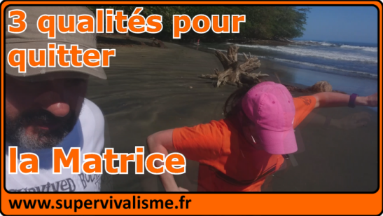 3 qualités à travailler pour sortir de la Matrice 3 qualités pour quitter la Matrice : avez-vous ces qualités ?...