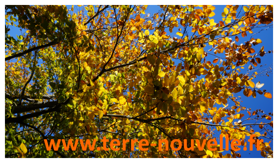 3 secrets pour combattre blues et fatigue hivernale, en vidéo 3 secrets pour combattre le blues de l'automne, la fatigue hivernale