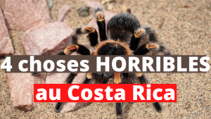 4 choses HORRIBLES au Costa Rica