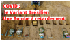 COVID 19, Variant Brésilien : la Bombe à retardement ! Covid 19 - Le variant Brésilien, une Bombe à retardement