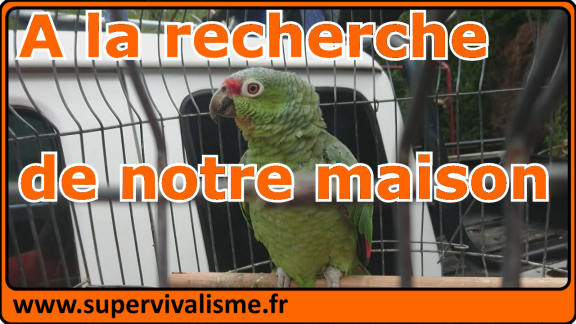 A la recherche de notre maison... A la recherche de notre maison au Costa Rica
