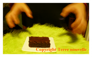 brownies-chocolat-noisette-amande Brownies chocolat noisette et amande, sans morceaux