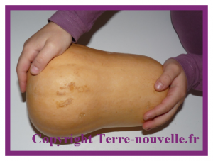 butternut-frites-epicees Frites épicées de courge butternut