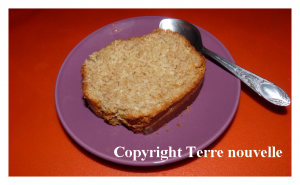 cake-noix-de-coco Cake à la noix de coco